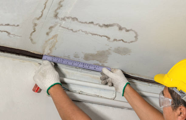 Reliable Burst Pipe Cleanup contractor in Sumerduck, VA by Water Damage Irwin